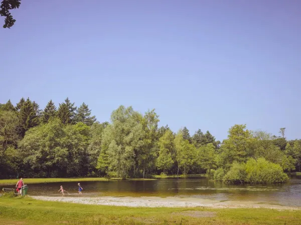 Der See beim Roan Camping ' t Veld.